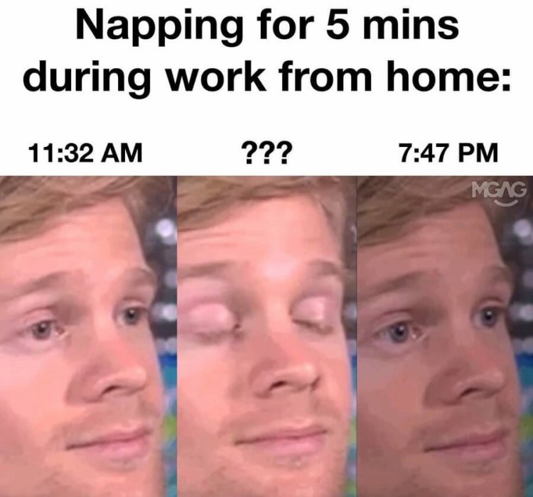 working from home meme: the hilarious side of remote work